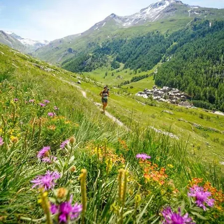 Balme 5 - Mont Blanc Apartament *