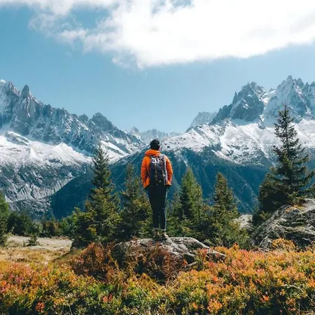 Lejlighed Balme 5 - Mont Blanc